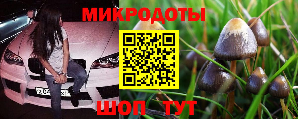Псилоцибиновые грибы MAGIC MUSHROOMS  Вход с VPN  Трёхгорный  Псилоцибиновые грибы Psilocybe 